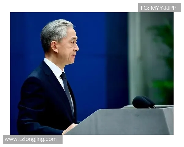 赖斯的外交智慧与全球影响力探讨：如何塑造未来国际关系新格局