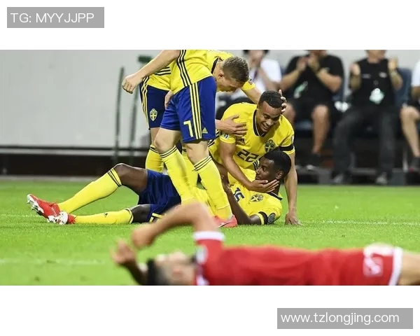 马耳他对瑞典足球赛事直播全程回顾与精彩瞬间分析