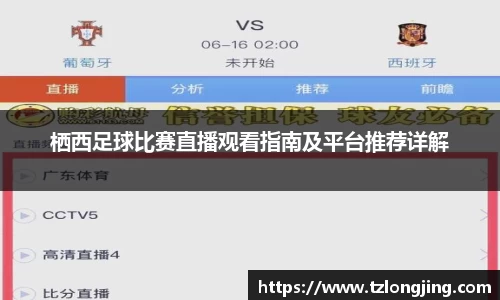 威客电竞下载