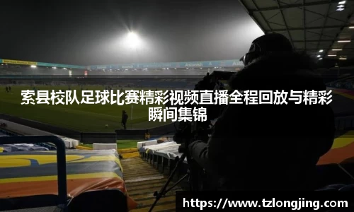 威客电竞下载