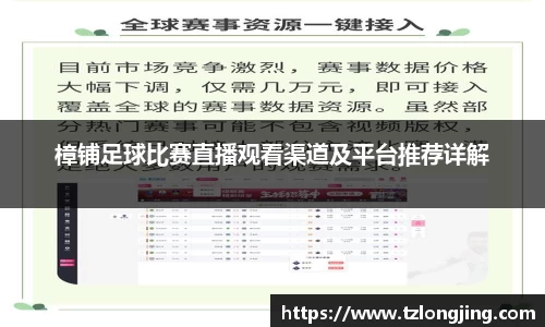威客电竞APP
