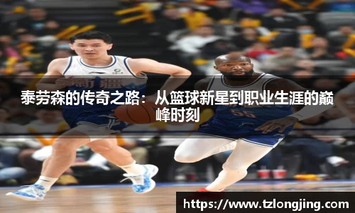 威客电竞官网